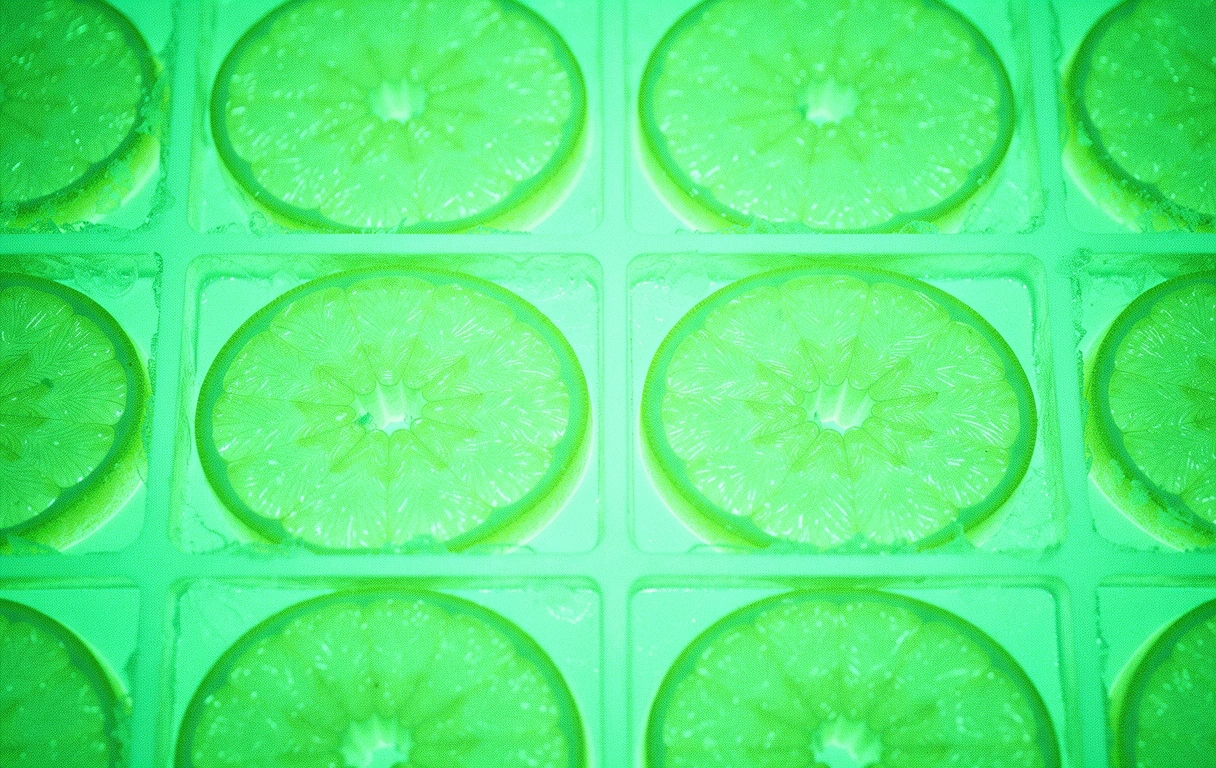 Nutritional architecture