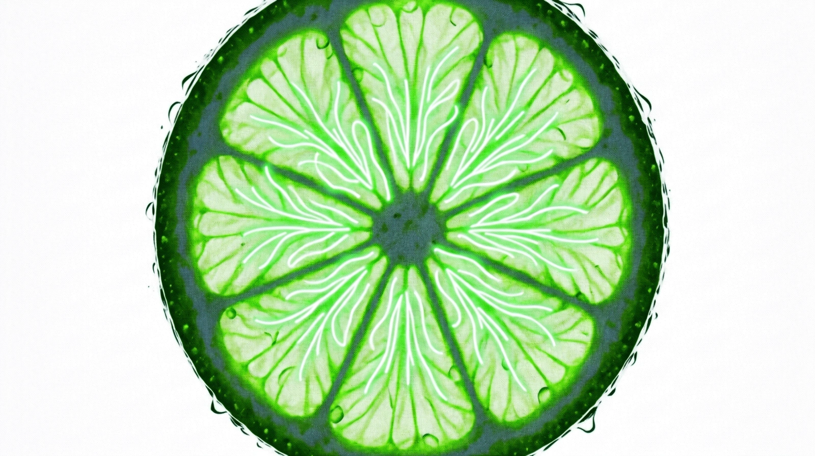 Nutritional Bio-Analysis